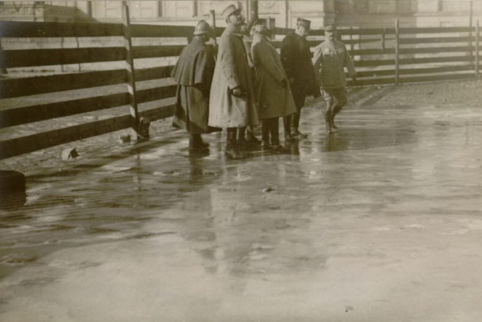 22 février 1916 : Généraux Joffre et Franchet d'Esperey commandant la 5ème armée