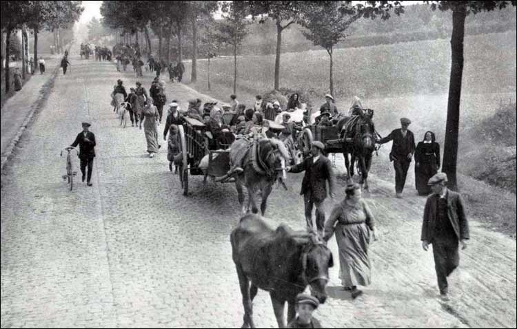 Réfugies belges avec leurs chevaux de trait, Source Wikipédia