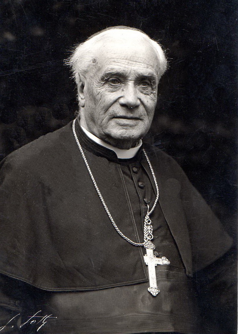 Le Cardinal Luçon - Collection Véronique Valette