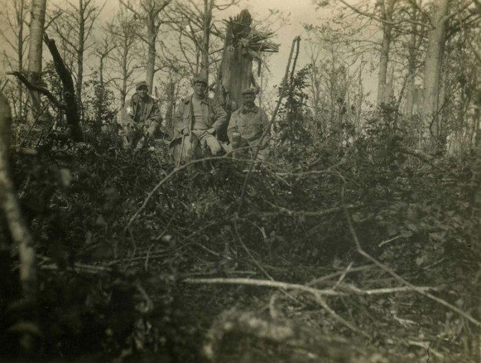 Bois-le-Prêtre