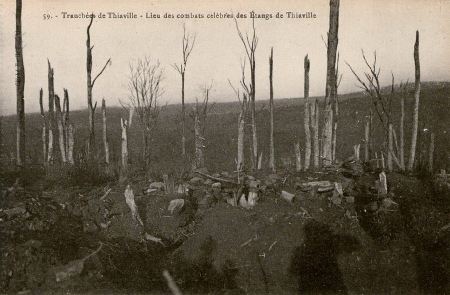 étangs de Thiaville