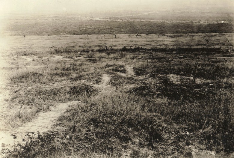 no man's land entre Esnes et Haucourt photo officielle américaine