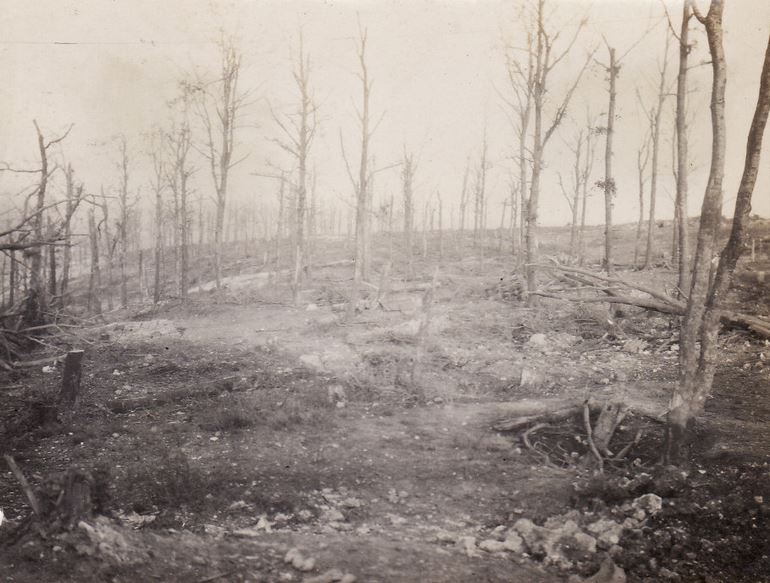 Bois d'Ardaumont